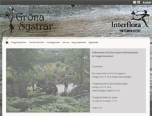 Tablet Screenshot of gronasystrar.se